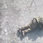 Мінус 3 — у Покровську знищили групу російських штурмовиків