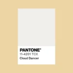 Пухкий, спокійний, чистий. Pantone назвав колір 2026 року