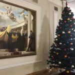 В Україні почали продавати новорічні ялинки: ціни стартують від 210 грн