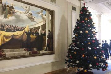 В Україні почали продавати новорічні ялинки: ціни стартують від 210 грн