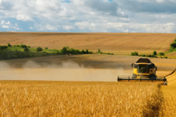 ЄС полегшує правила для рослин, створених шляхом редагування генів