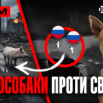 Росіяни здаються в полон у Покровську, американець про війну в Україні, собаки їдять русню: стрім