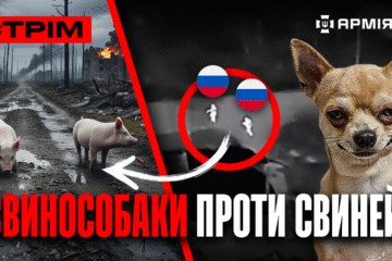 Росіяни здаються в полон у Покровську, американець про війну в Україні, собаки їдять русню: стрім