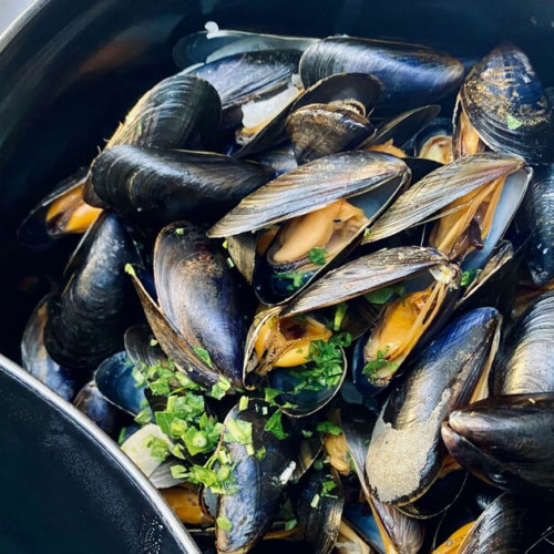 «Чорноморка» запустила ферму з вирощування мідії, сібаса та дорадо у Хорватії