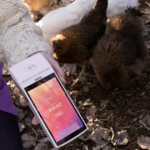 Кабмін відтермінував обовʼязкове використання терміналів для ФОПів