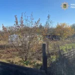 Підприємиця захопила ділянку в парку «Голосіївський» і побудувала там дачу. Тепер їй загрожує в’язниця