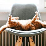 До будинків на Троєщині почали подавати тепло