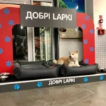 З лежаками та їжею. У мережі  «Епіцентр» встановили зони для тварин