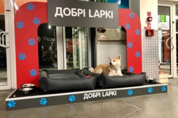 З лежаками та їжею. У мережі  «Епіцентр» встановили зони для тварин