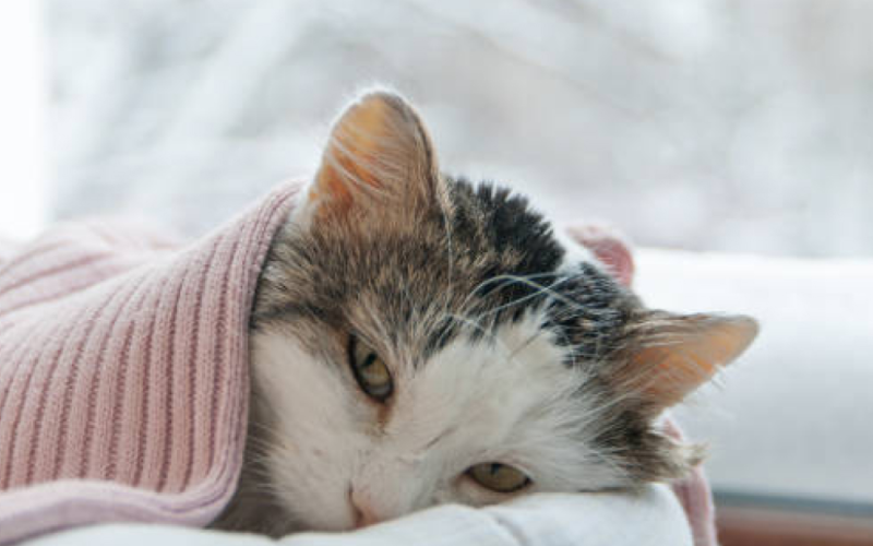 Комуналку автоматично перерахують тим, у кого не було тепла та води