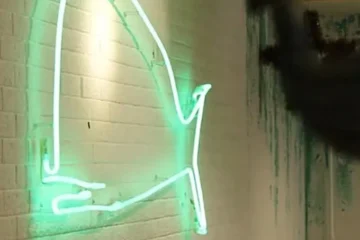 10 вегетаріанських закладів Києва: де готують рослинну їжу