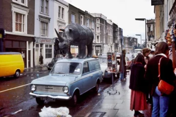 Що обʼєднує культове телешоу Італії, папуг і мафію? Режисер Марко Беллокйо – про серіал «Портобелло»