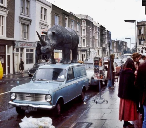 Що обʼєднує культове телешоу Італії, папуг і мафію? Режисер Марко Беллокйо – про серіал «Портобелло»