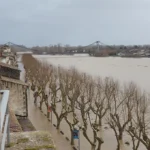 У Франції через шторм 900 тисяч будинків залишилися без світла