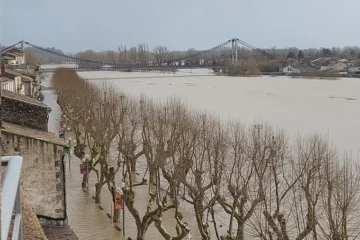 У Франції через шторм 900 тисяч будинків залишилися без світла