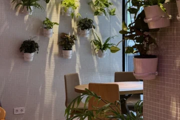 Друга раменна Koji у Львові