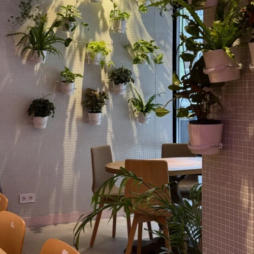 Друга раменна Koji у Львові