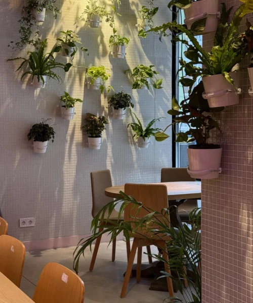 Друга раменна Koji у Львові