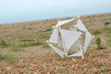 Дизайнерка створила кулю для відновлення ґрунтів за принципом кульбаби