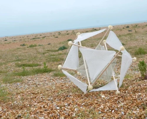 Дизайнерка створила кулю для відновлення ґрунтів за принципом кульбаби