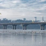 «Нові правила проїзду мостом Патона – фейк» – КМДА