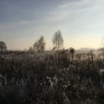 Stolitsa Group подали позов до суду проти ГО «Екопарк Осокорки». Активісти вважають це тиском