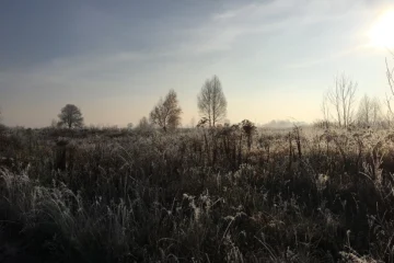 Stolitsa Group подали позов до суду проти ГО «Екопарк Осокорки». Активісти вважають це тиском