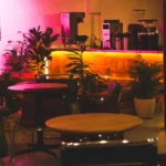 Кав’ярня Seaters і бар MO на Рейтарській закриваються