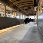 У Києві капітально ремонтують трамваї: у вагонах зʼявляться кондиціонери та нові сидіння