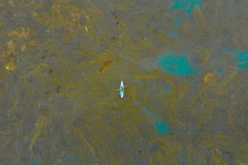 У Молдові оголосили екологічну тривогу через забруднення Дністра внаслідок російської атаки