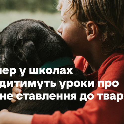 Відтепер у школах проводитимуть уроки про гуманне ставлення до тварин