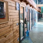 У притулку: як працює Patron Pet Center на ВДНГ