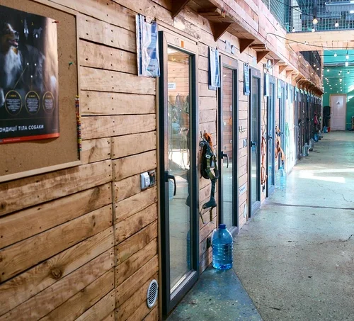 У притулку: як працює Patron Pet Center на ВДНГ