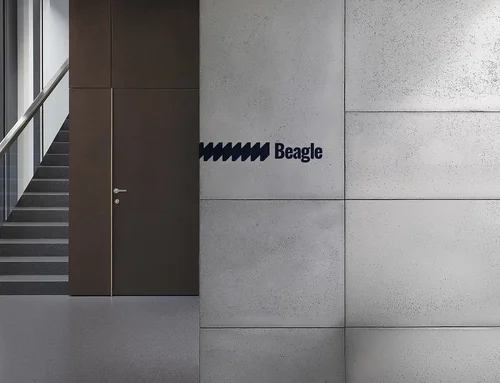 В Україні запускають видавництво Beagle: першими видадуть книги лауреатки Букерівської премії