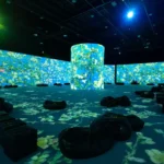 Відвідувачі опиняться всередині картин. На ВДНГ відбудеться  імерсивна виставка, присвячена Ван Гогу