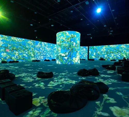 Відвідувачі опиняться всередині картин. На ВДНГ відбудеться  імерсивна виставка, присвячена Ван Гогу