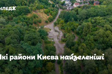 Які райони Києва найзеленіші – статистика ЛУН