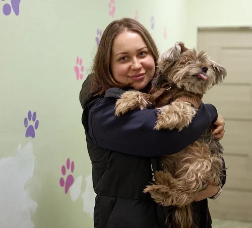 У притулку: як працюють «Песики Києва» на Виноградарі