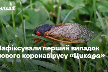 В Україні зафіксували перший випадок нового коронавірусу «Цикада»