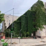 У памʼятці архітектури «Квіти України» сталася пожежа. У той же день був суд щодо її збереження