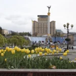 У Києві розцвіли перші тюльпани. Де побачити квіти?