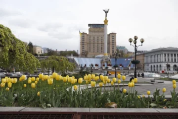 У Києві розцвіли перші тюльпани. Де побачити квіти?