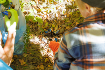 На понад 40 локаціях у Києві проведуть весняну толоку. Ось адреси