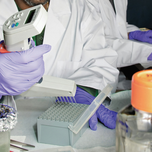 Норвежця «вилікували» від ВІЛ після трансплантації стовбурових клітин від брата