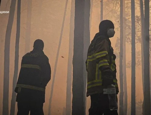 У зоні відчуження горить понад тисячу гектарів лісу. Це розмір 1500 футбольних полів