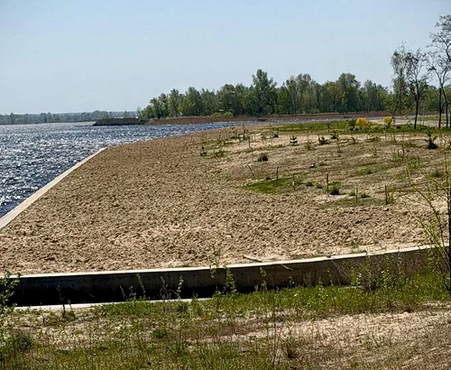На березі Київського моря демонтували незаконні паркани й відкрили доступ до лісу та води