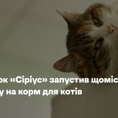 Притулок «Сіріус» запустив щомісячну підписку на корм для котів