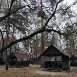 У парку «Партизанська слава» на Дарниці знесли незаконне кафе й дерев’яні альтанки