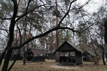 У парку «Партизанська слава» на Дарниці знесли незаконне кафе й дерев’яні альтанки