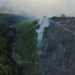 У Карпатах гасять масштабну лісову пожежу. Вогонь охопив близько 75 гектарів